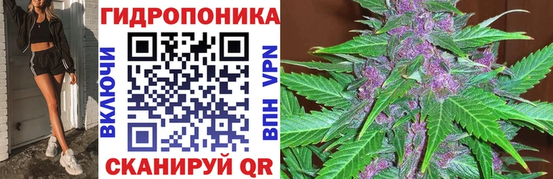 Цена Красновишерск Вейп ТГК Кокаин ОМГ ОМГ ссылки МАРИХУАНА Alpha-PVP МЕФ