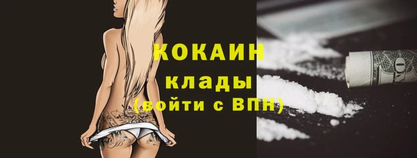 соль курить ск Новодвинск