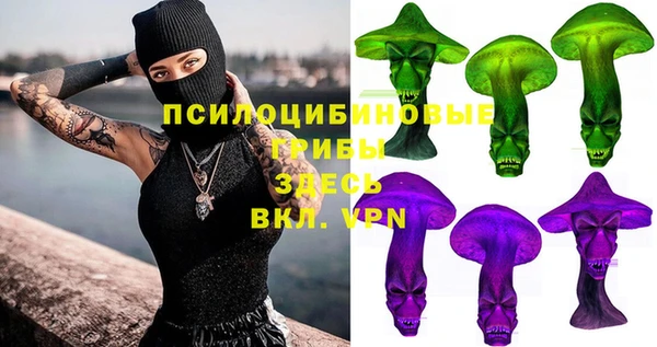 дживик Няндома
