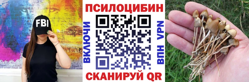 Псилоцибиновые грибы мицелий  продажа наркотиков  Красновишерск 