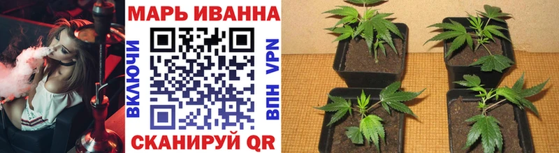 Бошки марихуана сатива Красновишерск